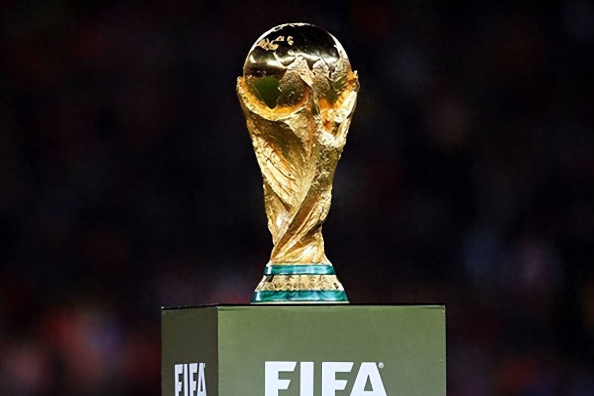 不仅揭示了 不仅揭示了