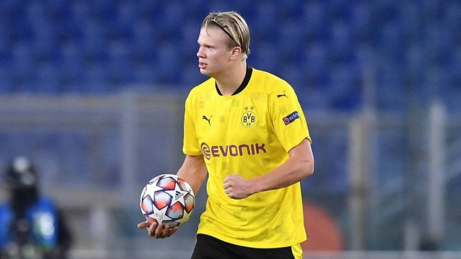 结论性的提 结论性的提