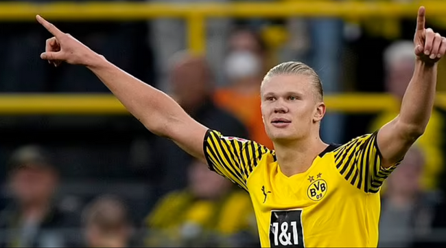 传的冷静处 传的冷静处